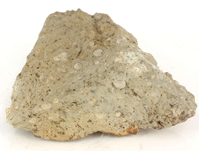 硅酸盐岩石检测项目和标准详解