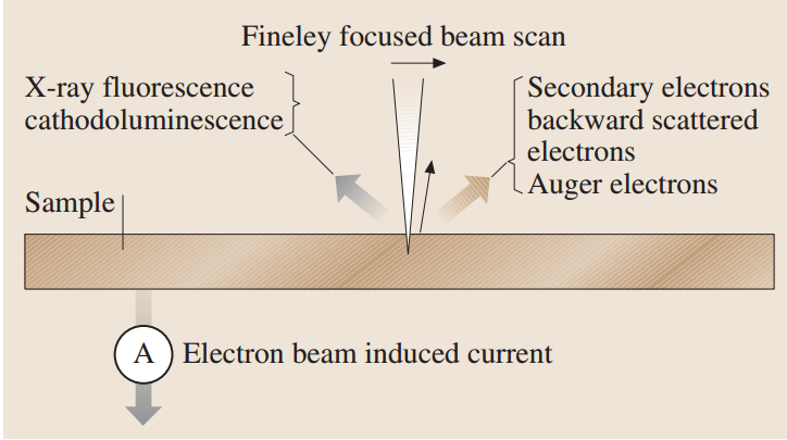 扫描电子显微镜（SEM）