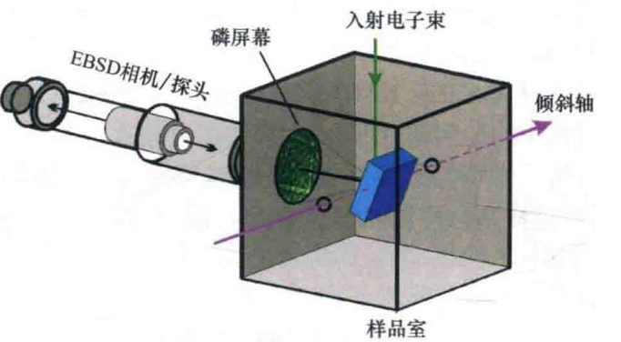 EBSD分析成败的关键：你真的懂样品制备吗？
