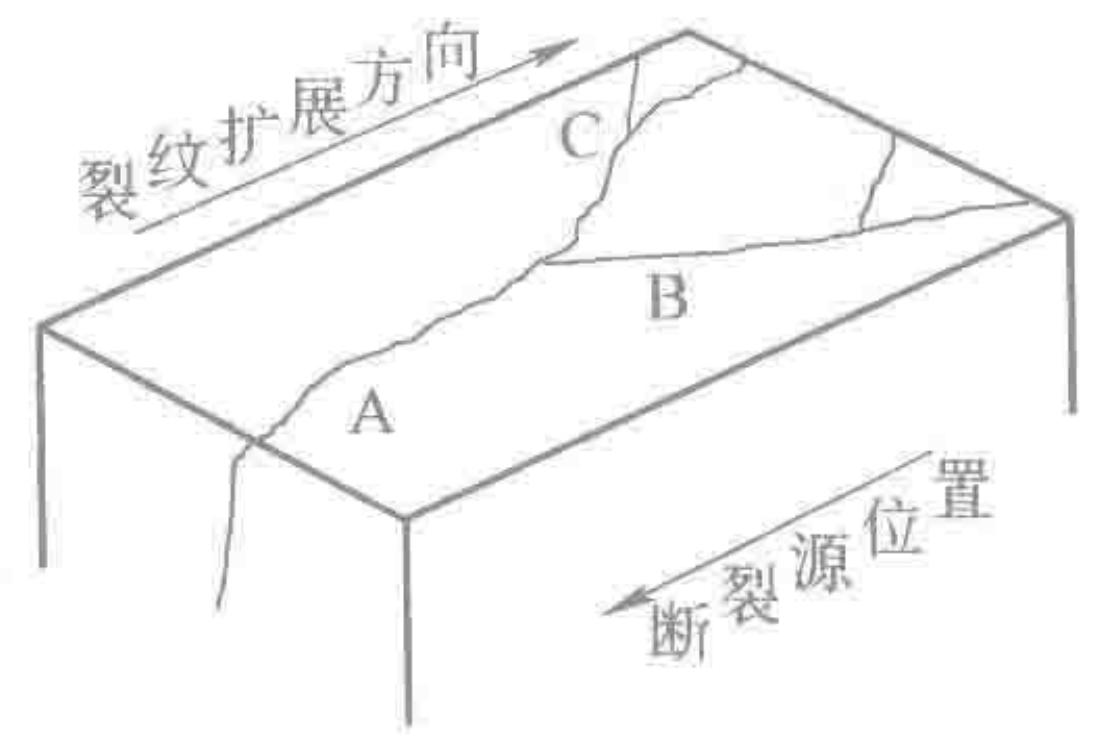 图5 开裂齿轮的裂纹扩展形态