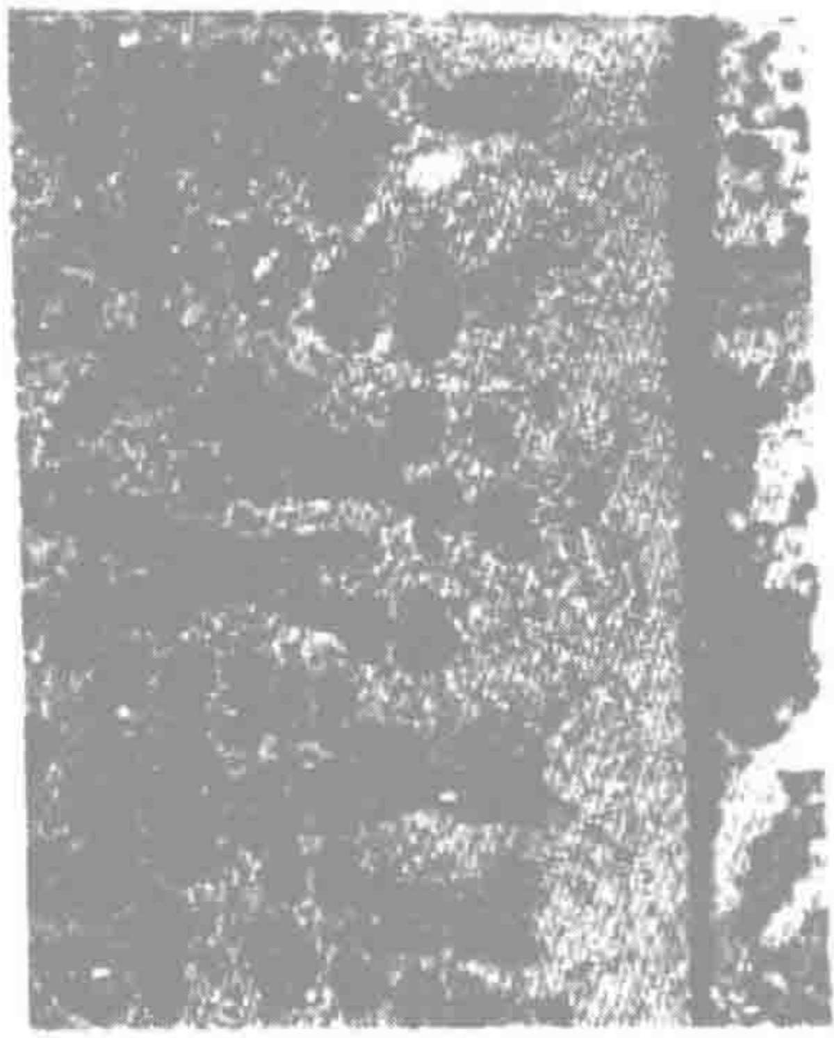 堆焊层与母材熔合区 (400X)