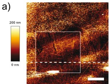 图2. AFM-SECM 联用表征 SEI:(a) AFM 形貌图中的划痕;(c) 对应的 SECM 电流图显示划痕处活性显著增高(对应原图 9.19)
