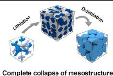 图2补充. 更多原位数据