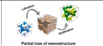 图2补充. 更多原位数据