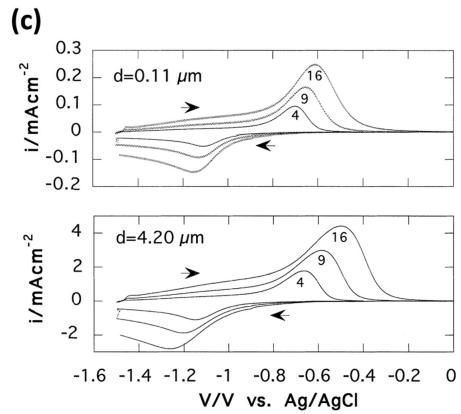 图1补充. 更多 CV 动力学分析