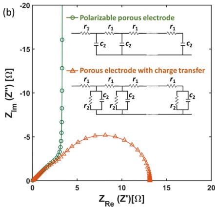 图2. 多孔电极的传输线模型(TLM)及其 Nyquist 图特征:从高频的扩散斜线过渡到低频的电容行为(对应原图 2.18)
