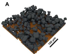 吸收衬度成像案例：SnO与Si/C负极