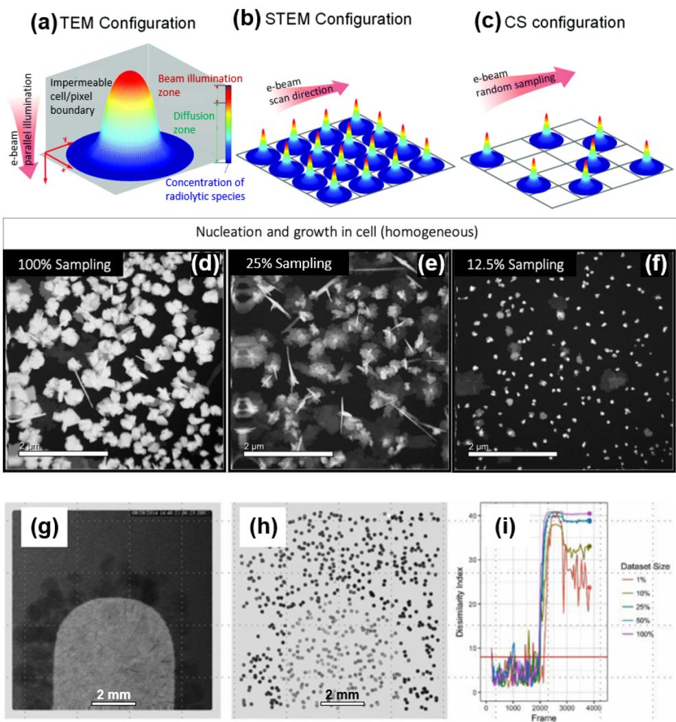 电子束损伤与低剂量成像策略