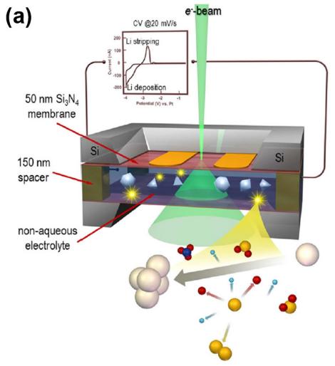 Liquid Cell原位观测锂枝晶