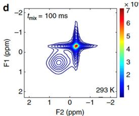固态电池界面的2D EXSY谱图